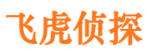 康县侦探公司